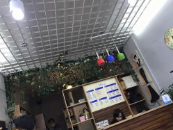 -XY形象设计/烫发·染发·接发