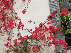 -湖广会馆-东水门及古城墙