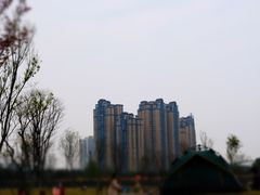 -府河摄影公园