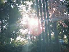 -谷咖啡·鲜花绿植花园餐厅