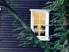 -三鹰之森吉卜力美术馆