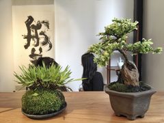 -璞素(浦东店)