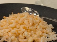 清炒虾仁-得月楼·省级非遗·传统苏帮菜(观前店)