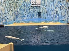 -珠海长隆海洋王国