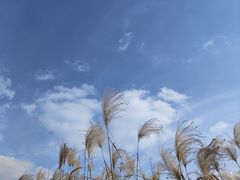 -梁鸿国家湿地公园