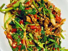 香菜炒牛肉-壹盏灯(蚂蚁工房店)