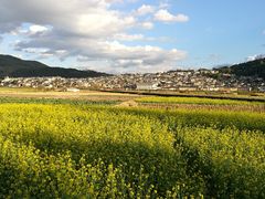 -腾冲和顺柏联酒店
