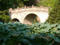 -水绘园