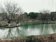 -青枫公园