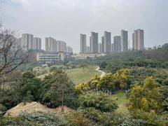-张坝桂圆林公园
