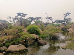 -罗红摄影艺术馆