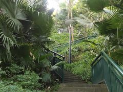 -重庆彩云湖湿地公园