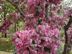 -元大都城垣遗址公园