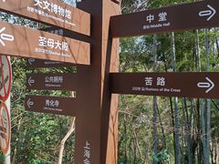 -上海佘山国家森林公园西佘山园