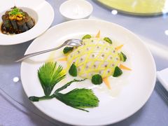 -丁老爷子苏香圆