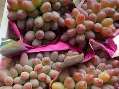 -马陆小张葡萄园农家乐