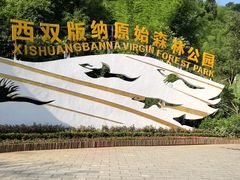 -西双版纳原始森林公园