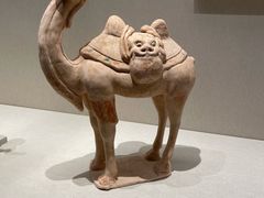 -深圳博物馆(古代艺术馆)
