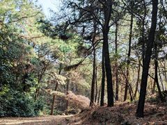 -虞山风景区