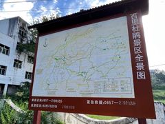 -贵州百里杜鹃风景名胜区