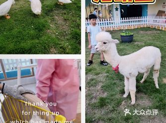 敲多萌宠聚集地️深圳遛娃好去处