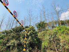 -铁山坪森林公园