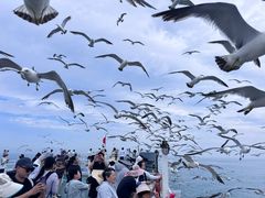 -海驴岛(荣成市)