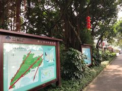 -大湾区中央湿地公园