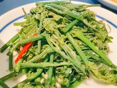 清炒丝瓜尖-一坐一忘云南菜(嘉里中心店)