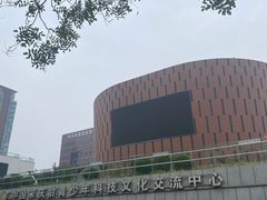-中国宋庆龄青少年科技文化交流中心