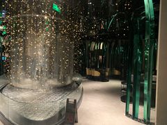 -凤园椰珍·臻品椰子鸡(保利时光里店)