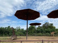 -济南野生动物世界