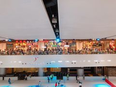 -TheRink大零溜冰场(IFS国金中心店)