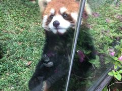 -东部华侨城
