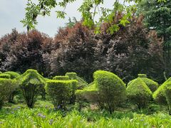 -洛阳市隋唐城遗址植物园