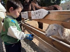 -HERRE·FARM 赫尔露营农场·团建聚会包场