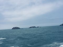 -枸杞岛