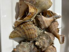 -华盛丰温州大排档(东三环南路店)