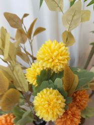 -变美丽半永久纹眉连锁·机器野生眉•洗眉