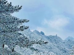 -黄山风景区