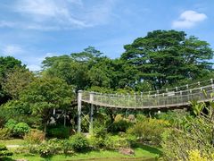 -东莞植物园