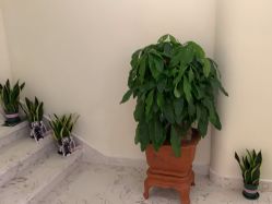 -海涛医疗美容·面部抗衰·注射美鼻