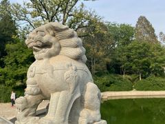 -香山公园