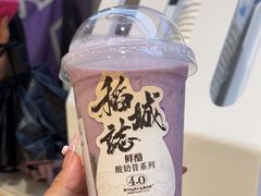 -一只酸奶牛(时代天街A馆店)