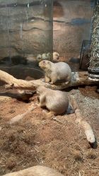 -Zoolung Zoolung动物主题公园(海信广场店)