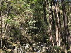 -牛背梁国家森林公园