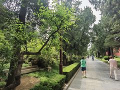 -北京市劳动人民文化宫(太庙)