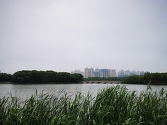 -昆山城市生态森林公园