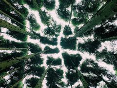 -山王坪喀斯特国家生态公园