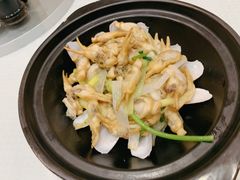 姜葱炒蛏子-双井轩(双井店)